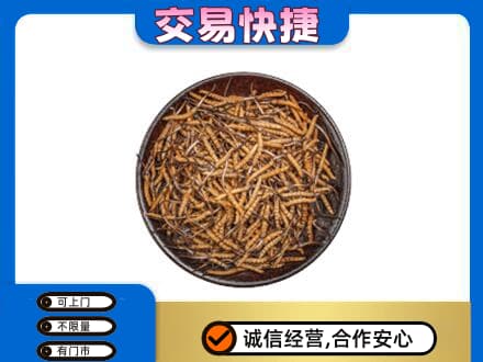 张家口回收散虫草
